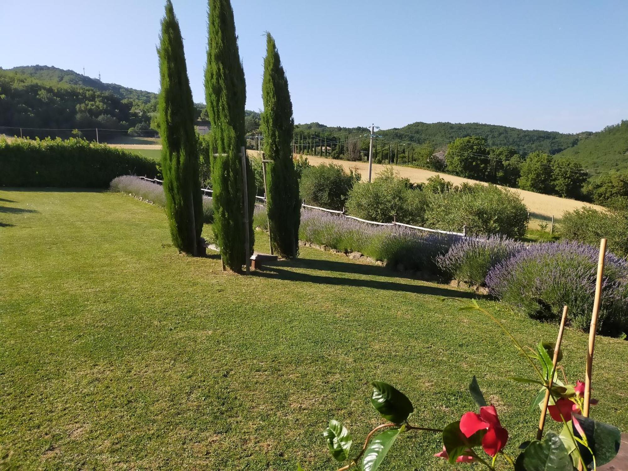 Luna Bianca * Assisi